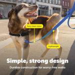 PetSafe Nylon Leash - Strong Dog Leash for Everyday Use - Secure & Simple Design for Reliable Control - Lightweight with Durable Hardware - 3/8 Inch - 6 Feet - Blue