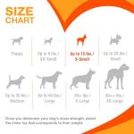 Nylabone Ring Bone Chew Toy for Puppies, Puppy Teething Toys, Puppy Enrichment Toys, Chicken Flavor, X-Small Dogs - Up to 15 lbs, 1 Count