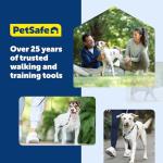 PetSafe Nylon Leash - Strong Dog Leash for Everyday Use - Secure & Simple Design for Reliable Control - Lightweight with Durable Hardware - 3/8 Inch - 6 Feet - Blue