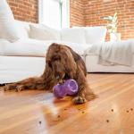 Outward Hound Double Snoop Interactive Treat Dispensing Dog Toy, Puzzle Ball Slow Feeder for Medium to Large Dogs, Mint-Scented for Mental Stimulation & Boredom Relief, 6-inch