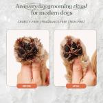 Dandylion Clean Paws | No-Rinse Dog Paw Cleaner & Dog Paw Washer | Gentle, Fragrance-Free, pH Balanced Foaming Cleanser with Silicone Bristle Brush | Safe for All Dogs | 5 fl oz