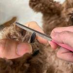 OneCut 6" Dog Nail Clippers for Small, Medium and Large Breed Professional Pet Nail Trimmers -Suitable for Cats, Rabbits and Guinea Pigs with Safety Guard to Avoid Over Cutting (Pink)