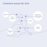 MiconaHex+Triz Shampoo for Dogs, Cats and Horses, 16 oz, Unscented