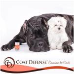 COAT DEFENSE Preventative Powder | Made in USA | 3.5oz Waterless Dog Shampoo & Pet Deodorizer for Smelly Dogs | Provides Anti Itch Relief | Dog Shampoo for Dry Itchy Skin & Smelly Dogs
