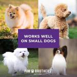 Ryan's Pet Supplies Paw Brothers Nail Clipper for Dogs and Cats, Pet Nail Clippers, Safe Grooming Tool, Professional Grade for Groomers, Stainless Steel Blades, Safety Guard, Small, 5 Inches