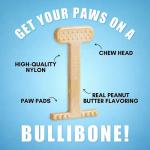Bullibone Nylon Dog Chew Toy for Aggressive Chewers - Dental Hygiene Bone with Peanut Butter Flavor, Durable Tough Chew Toys for Small Dogs, Indestructible Dog Bone - 2 Pack
