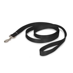 PetSafe Nylon Dog Leash – Strong, Durable, Traditional Style Leash with Easy to Use Bolt Snap for Small, Medium and Large Dogs – 1" x 6', Black