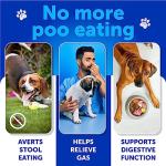 No Poo Chews for Dogs - Coprophagia Stool Eating Deterrent - Stop Eating Poop Treats with Probiotics, Digestive Enzymes, Pumpkin - Prevent Dog, Puppy from Eating Poop - Gut Health Support Supplement