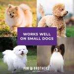 RYAN'S PET SUPPLIES Paw Brothers Small Medium Dog & Cat Nail Clipper Scissor and Trimmer, Easy to use, Toenail Claw, Professional Stainless Steel Blade Grooming Tool for Pets