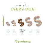 Benebone Tripe Bone Durable Dog Chew Toy for Aggressive Chewers, Real Tripe, Made in USA, Medium
