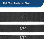 PetSafe Nylon Dog Leash – Strong, Durable, Traditional Style Leash with Easy to Use Bolt Snap for Small, Medium and Large Dogs – 1" x 6', Black