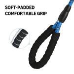 Amazon Basics Round Dog Leash, Heavy Duty, Durable Rope for Small, Medium, and Large Dogs, Lightweight Design for Walking, Training, and Outdoor Activities, Blue, 6 Ft