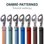 Ruffwear, Front Range Dog Leash, 5 ft Lead with Padded Handle for Everyday Walking, Spring Fade