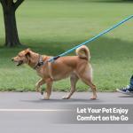 Amazon Basics Round Dog Leash, Heavy Duty, Durable Rope for Small, Medium, and Large Dogs, Lightweight Design for Walking, Training, and Outdoor Activities, Blue, 6 Ft