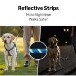 Amazon Basics Round Dog Leash, Heavy Duty, Durable Rope for Small, Medium, and Large Dogs, Lightweight Design for Walking, Training, and Outdoor Activities, Blue, 6 Ft