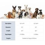 Amazon Basics Round Dog Leash, Heavy Duty, Durable Rope for Small, Medium, and Large Dogs, Lightweight Design for Walking, Training, and Outdoor Activities, Blue, 6 Ft