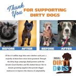 Wahl USA Whitening Shampoo White Pear scent for Pets – Whitening & Animal Odor Control with Silky Smooth Results for Grooming Dirty Dogs – 24 oz - Model 820001A