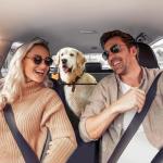 Durable Dog Car Seat Cover and Hammock