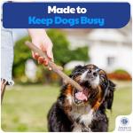 American Kennel Club Durable Wood Infused Dog Toy