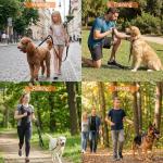 6 FT Heavy Duty Dog Leash with Padded Handles