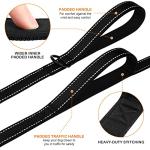 Heavy Duty Dual Handle Dog Leash for Large Dogs
