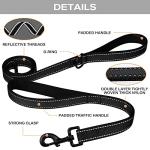Heavy Duty Dual Handle Dog Leash for Large Dogs