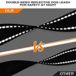 Heavy Duty Dual Handle Dog Leash for Large Dogs