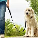 Heavy Duty Dual Handle Dog Leash for Large Dogs
