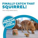 Outward Hound Hide-A-Squirrel Interactive Dog Toy