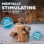 Outward Hound Hide-A-Squirrel Interactive Dog Toy