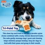 Hartz Chew ‘n Clean Chicken Flavor Dog Toy