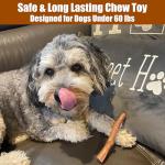 Bam-Bones Plus Chew Toy for Aggressive Dogs