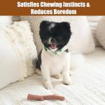 Bam-Bones Plus Chew Toy for Aggressive Dogs