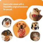 Pawsibility Pet Nail Clipper with LED Light