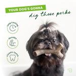 Benebone Maplestick Durable Real Wood Chew Toy