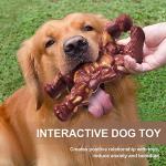 Tough Dog Toys for Aggressive Chewers - Beef Flavor