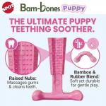 SPOT Bam-Bones Puppy T-Bone Chew Toys - 2 Pack