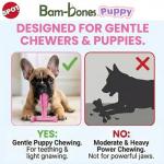 SPOT Bam-Bones Puppy T-Bone Chew Toys - 2 Pack