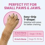 SPOT Bam-Bones Puppy T-Bone Chew Toys - 2 Pack
