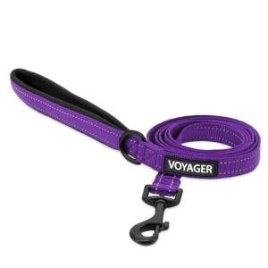 Voyager Reflective Dog Leash and Collar - Purple