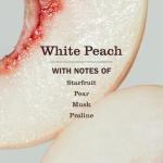 Mrs. Meyer's Dog Deodorizing Spray - White Peach