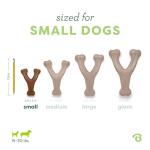 Benebone Wishbone Durable Dog Chew Toy - Peanut