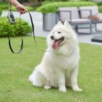 Reflective 6FT Dog Leash for All Sizes