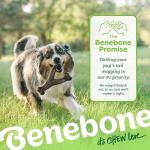 Benebone Wishbone Durable Dog Chew Toy - Peanut