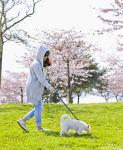 Reflective 6FT Dog Leash for All Sizes