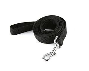Durable Nylon Training Leash for Small Dogs