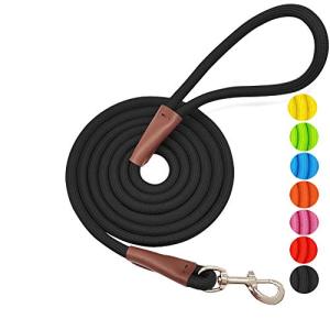 MayPaw Heavy Duty Nylon Dog Leash, 6ft