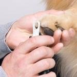 Ergonomic Nail Clippers for Dogs and Cats