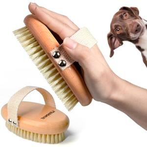 Professional Boar Bristle Brush for Short-Haired Dogs