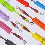 MayPaw Heavy Duty Nylon Dog Leash, 6ft